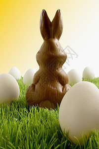 复活节巧克力兔子图片