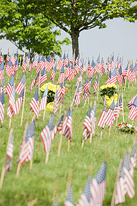 墓地里的美国国旗图片