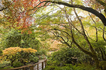 日本布查特花园图片