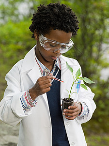 在植物上做实验的男孩图片