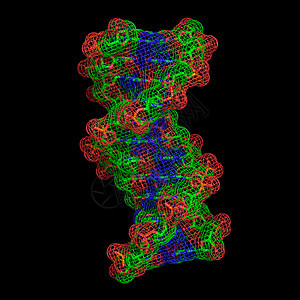 DNA分子图片