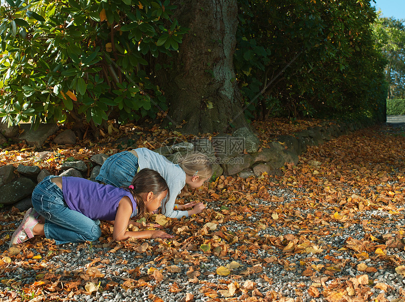 两个女孩在寻找秋叶图片
