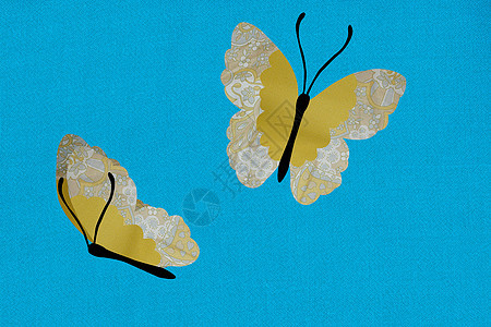 蓝色背景下的两只蝴蝶背景图片