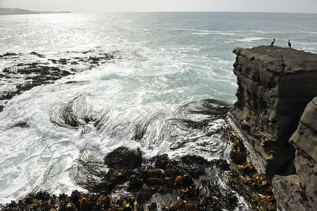 新西兰悬崖和大海图片