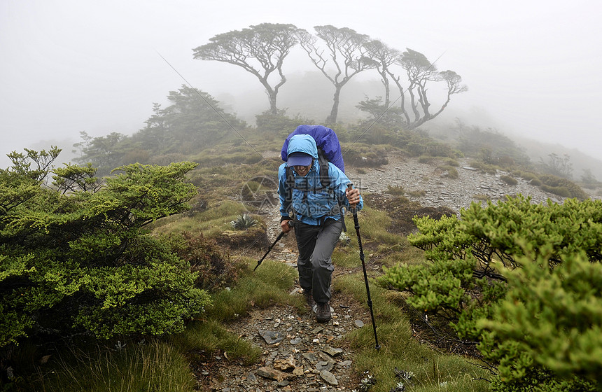 新西兰卡胡兰基国家公园徒步旅行的中年妇女图片