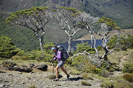 新西兰卡胡兰基国家公园徒步旅行的中年妇女图片
