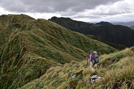 新西兰山脊的女徒步旅行者图片