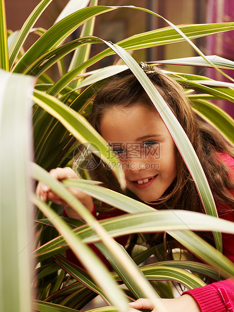 女孩透过植物的叶子窥视图片
