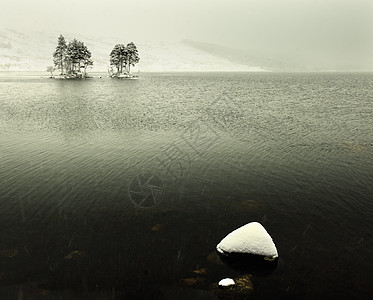 冰雪覆盖的岩石和树木海景图片