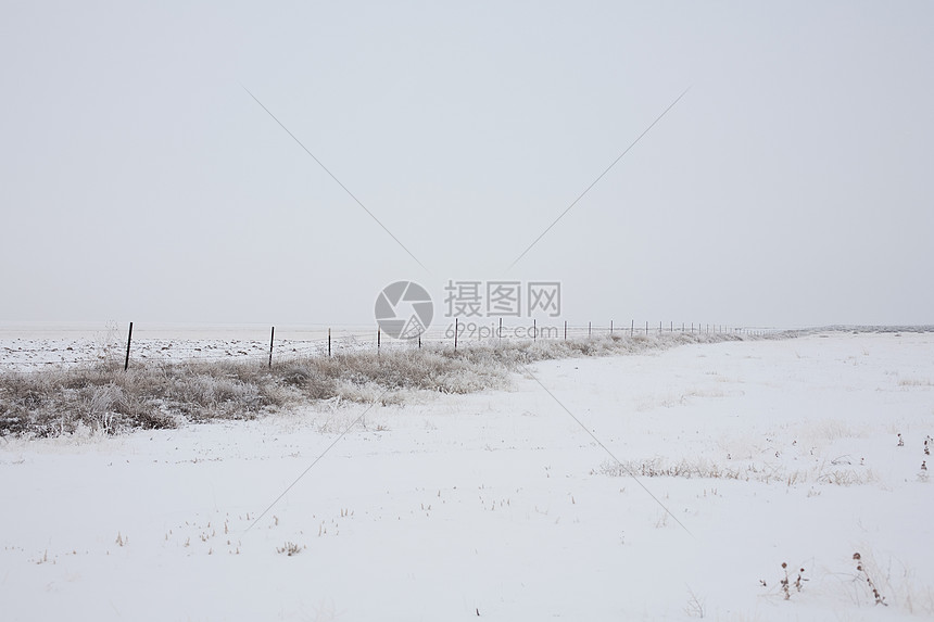 雪地里的田野和栅栏图片