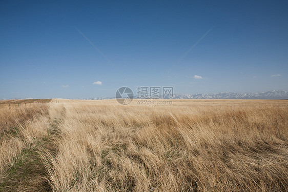 美国爱达荷州干草场图片