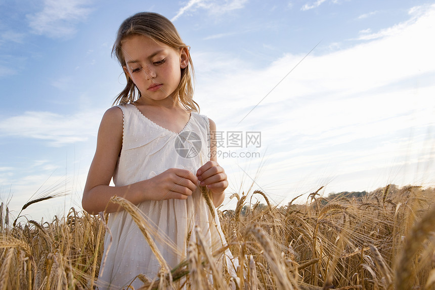 站在玉米地里的小女孩图片
