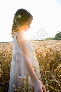 在玉米地散步的女孩图片
