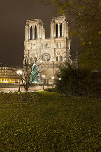 法国巴黎，夜间的泛光圣母大教堂图片
