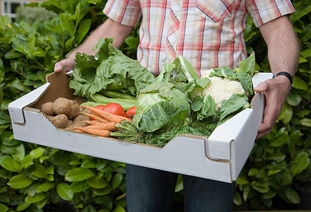 手拿新鲜蔬菜盒背景图片