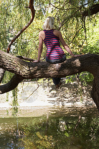 坐在湖边树上的女人图片
