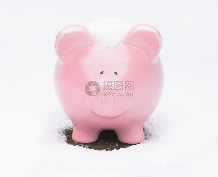 雪里的小猪存钱罐图片