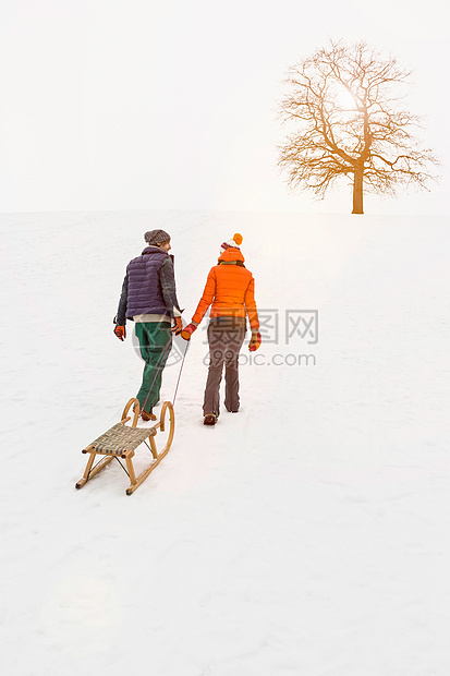 在雪地里的夫妇图片