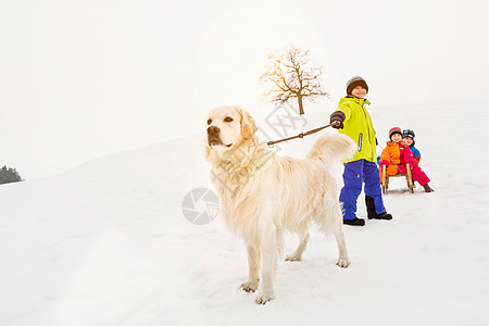 男孩拉着狗在雪中玩图片