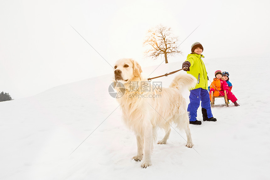 男孩拉着狗在雪中玩图片