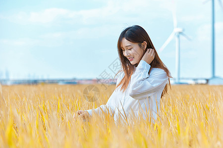 黄色稻田秋季美女背景