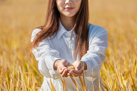 年轻美女手捧稻谷图片