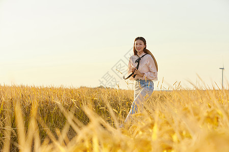 黄色稻田秋季美女背景