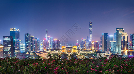 平安金融学院深圳福田夜景背景