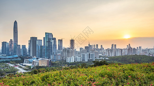 深圳福田城市风光图片