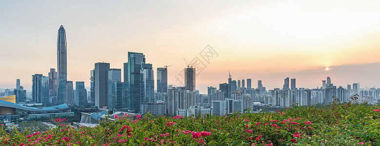 深圳福田城市风光建筑群高清图片素材