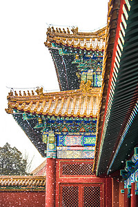 中国风雪北京故宫雪景背景