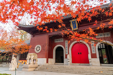 秋天女装南京栖霞寺的秋天背景