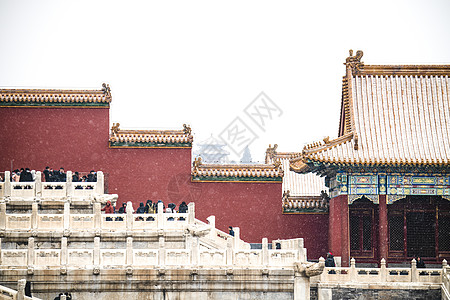 古代园林雪景北京故宫博物院的雪景背景