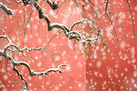 北京故宫红墙飘雪高清图片