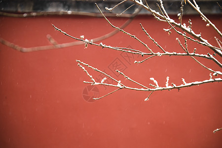 喜庆背景框北京故宫红墙的雪景背景