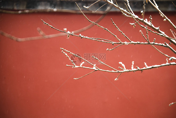 北京故宫红墙的雪景图片