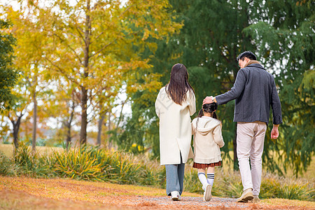 小孩牵手一家三口公园散步背影背景