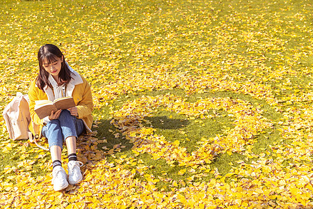 拿爱心女孩坐在铺满银杏叶的草坪上看书的女孩背景