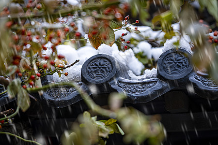 2020年北京第一场雪背景