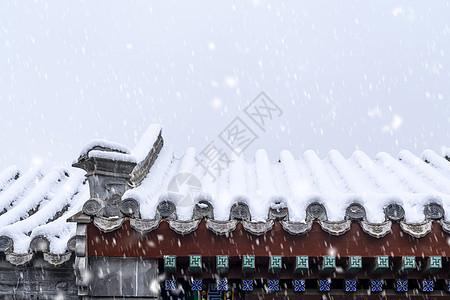 2020年北京第一场雪图片
