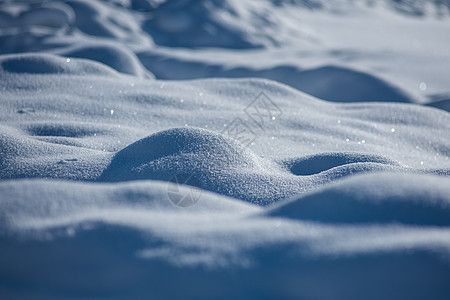 新疆冬季雪景特写图片