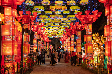 深圳科技园深圳欢乐灯会背景