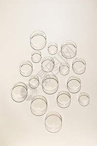 透明玻璃培养皿图片