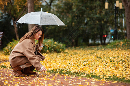 秋季雨天美女撑伞拾银杏叶图片