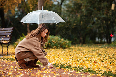 秋季雨天美女撑伞拾银杏叶高清图片