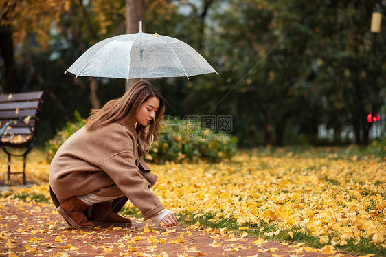 秋季雨天美女撑伞拾银杏叶图片