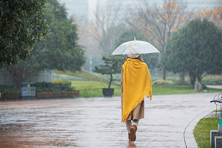 少女下雨天美女公园里散步背影背景