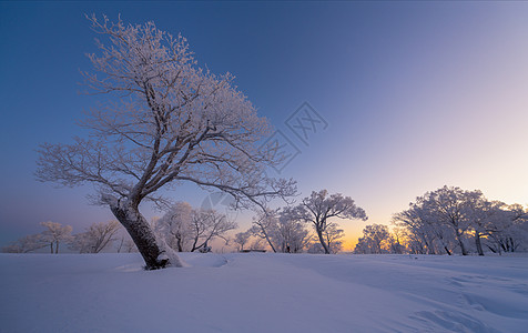 冰天雪地雾凇风光高清图片