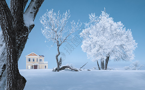 冬天大雪中树木冰天雪地雾凇风光背景