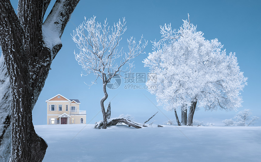 冰天雪地雾凇风光图片